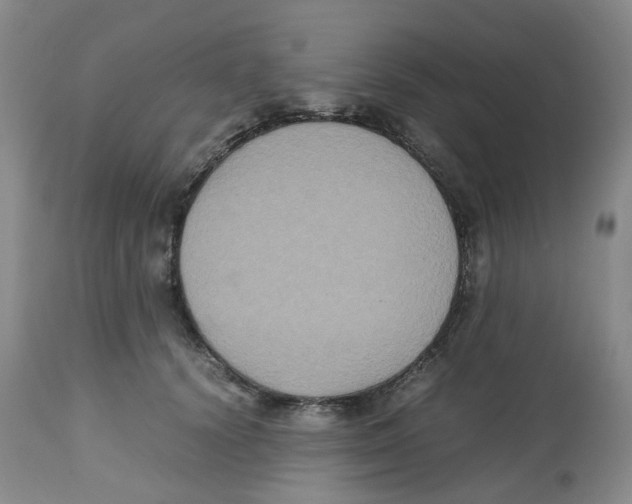 X0000112530656200909141248