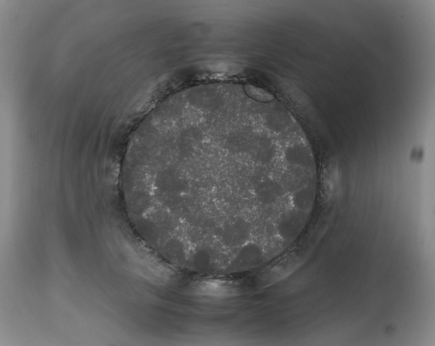 X0000112530657200909141248