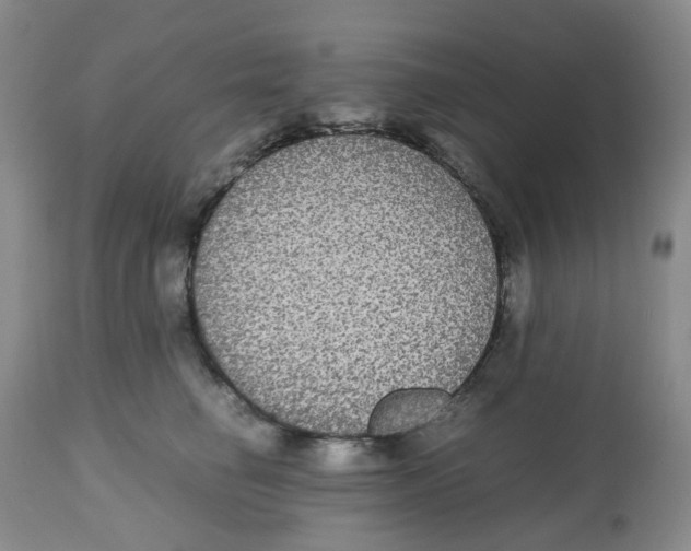 X0000112530662200909141248