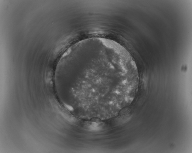 X0000112530663200909141248