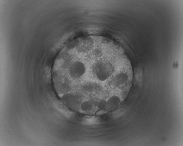 X0000112530667200909141248