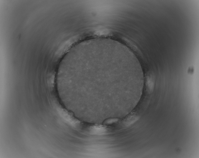 X0000112530668200909141248