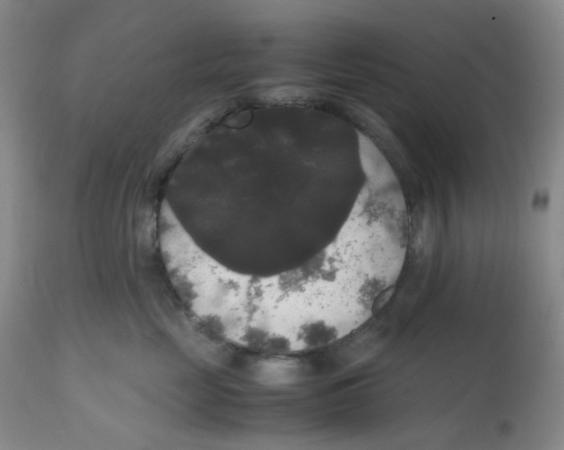 X0000112530669200909141248