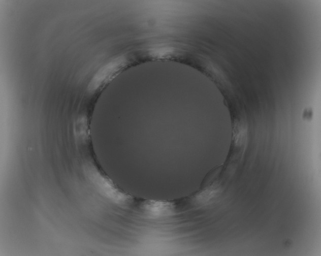 X0000112530670200909141248