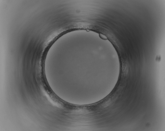 X0000112530674200909141248