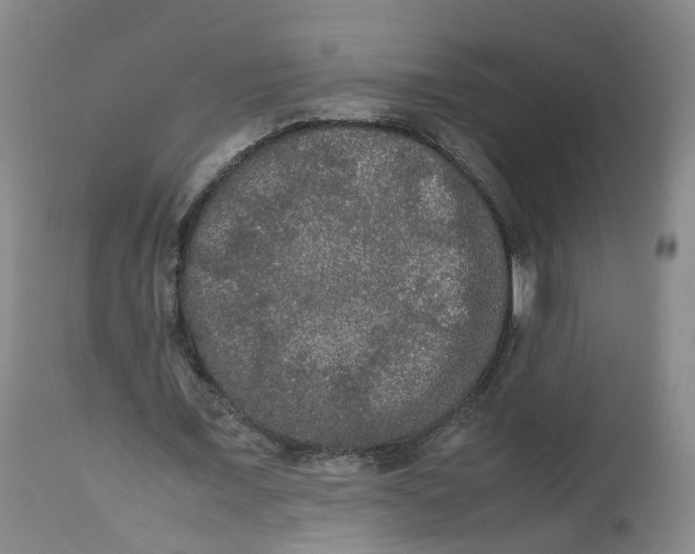 X0000112530675200909141248