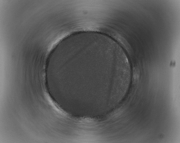 X0000112530677200909141248