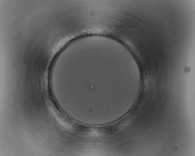 X0000112530678200909141248