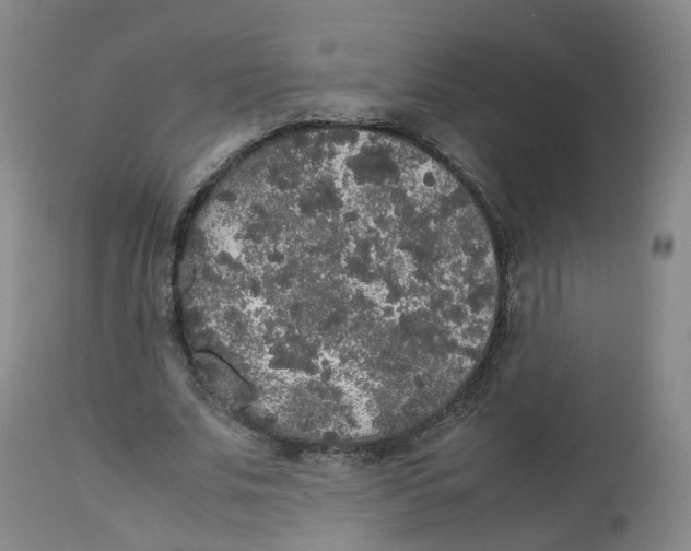 X0000112530679200909141248