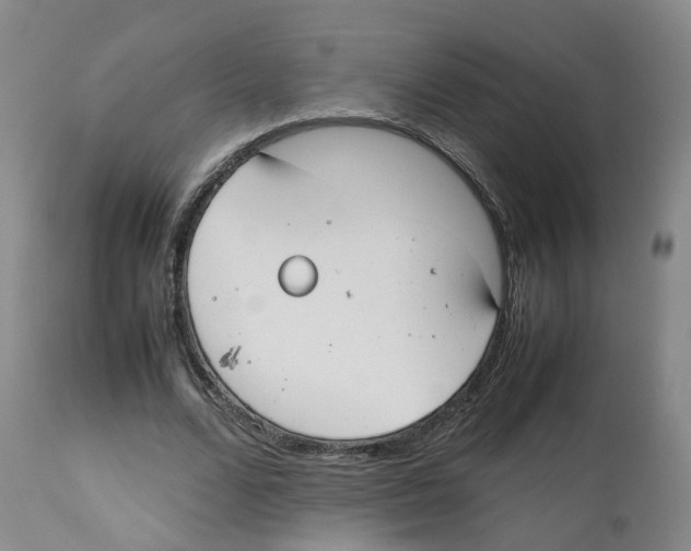 X0000112530680200909141248