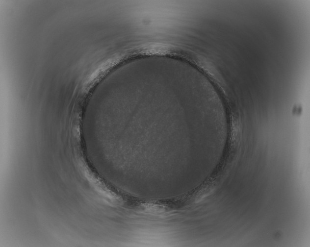 X0000112530681200909141248