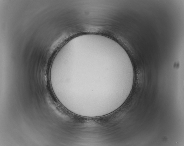 X0000112530682200909141248