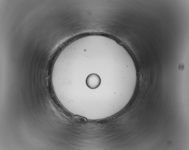 X0000112530684200909141248