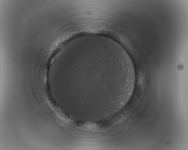 X0000112530685200909141248