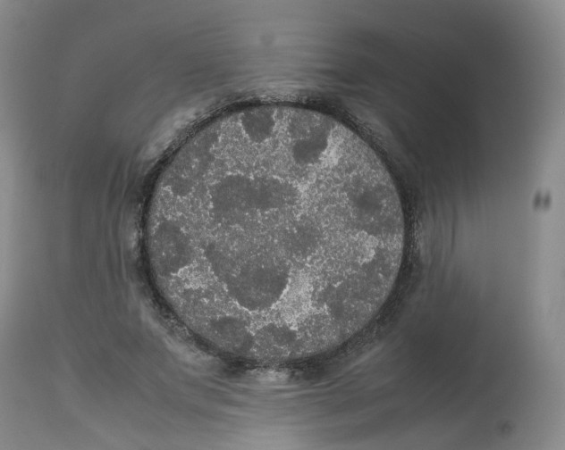 X0000112530687200909141248