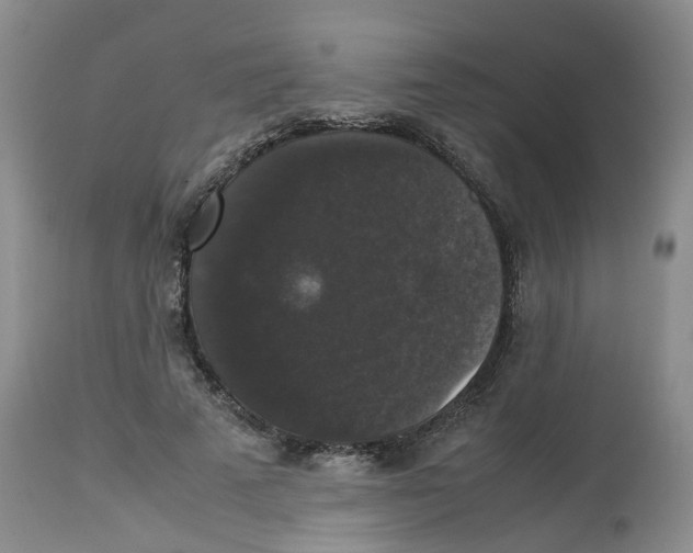 X0000112530689200909141248