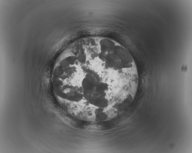 X0000112530691200909141247