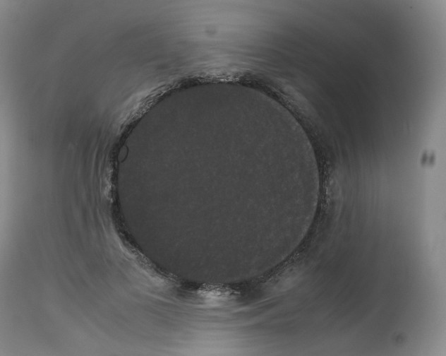 X0000112530693200909141247