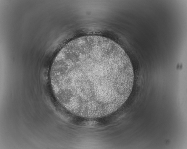 X0000112530695200909141247