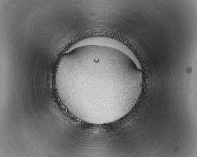 X0000112530696200909141247