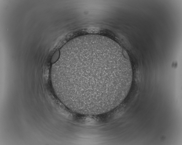 X0000112530697200909141247