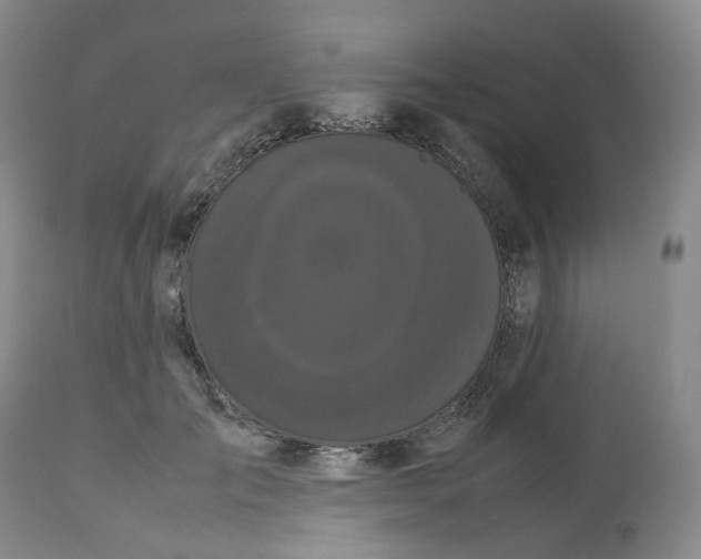 X0000112530701200909141247