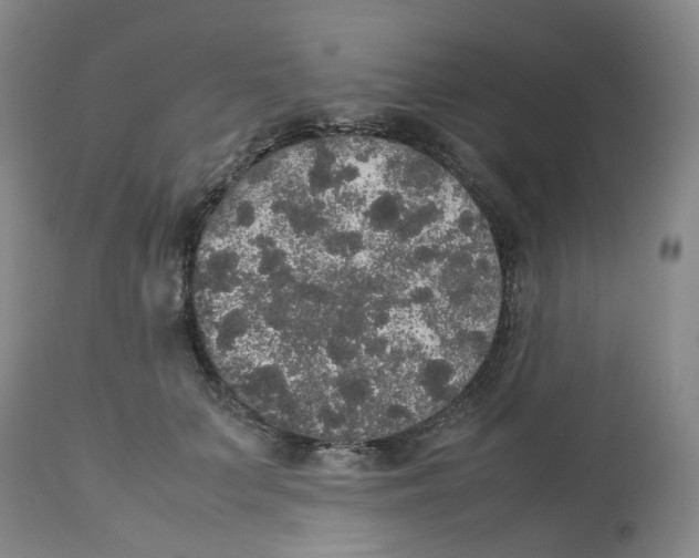 X0000112530703200909141247