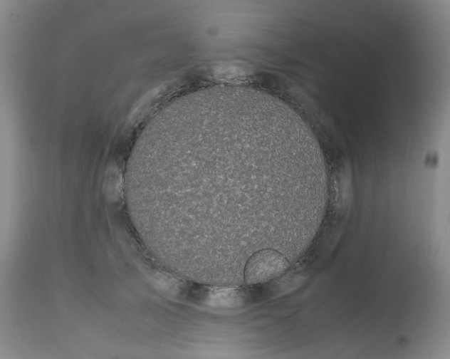 X0000112530705200909141247