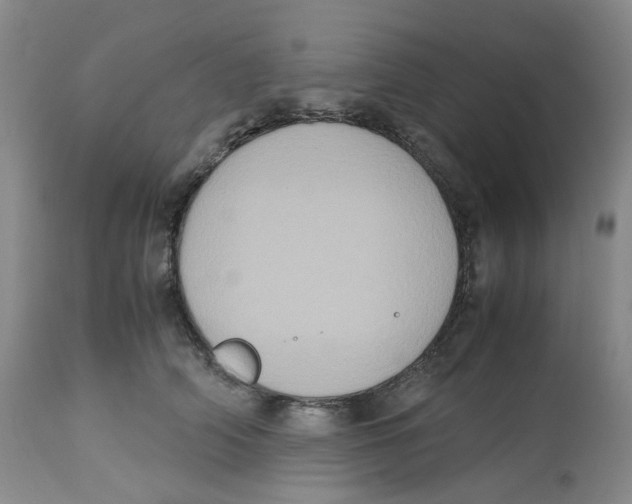 X0000112530706200909141247