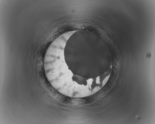 X0000112530707200909141247