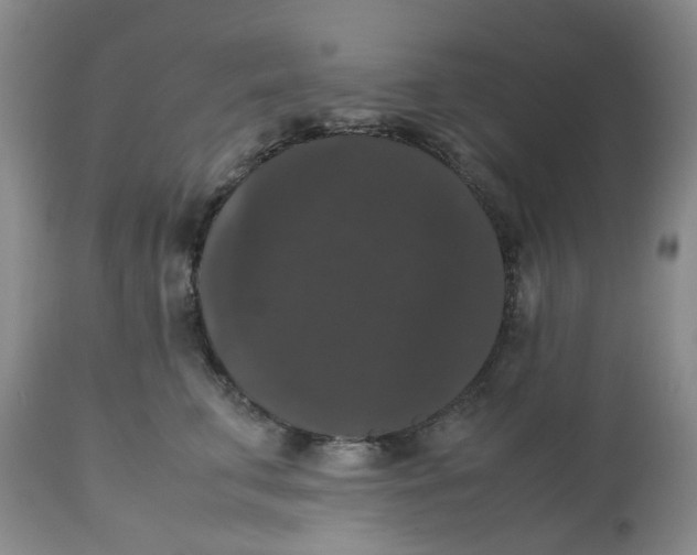 X0000112530711200909141247