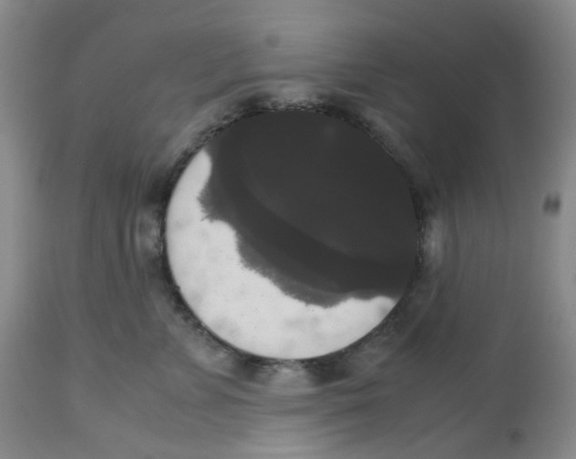 X0000112530715200909141247