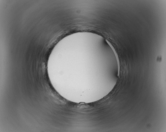 X0000112530716200909141247