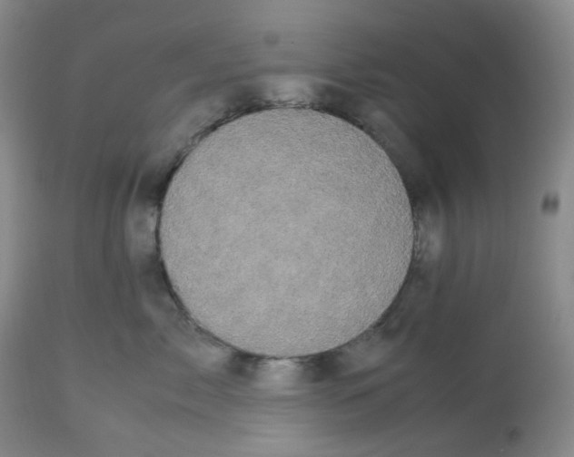 X0000112530717200909141247