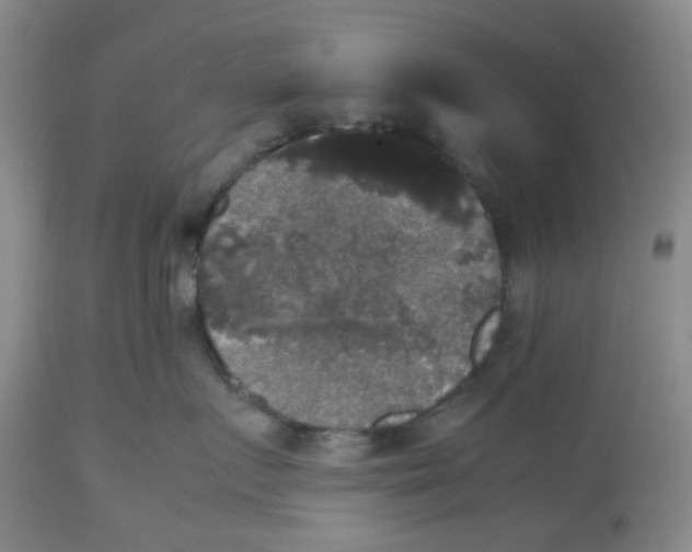 X0000112530719200909141247