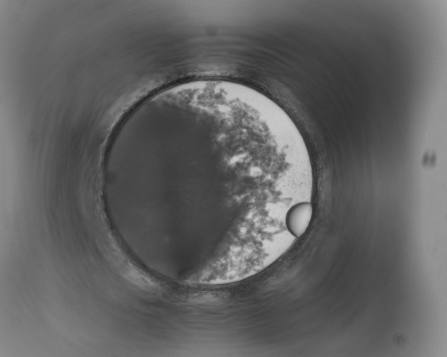 X0000112530721200909141246