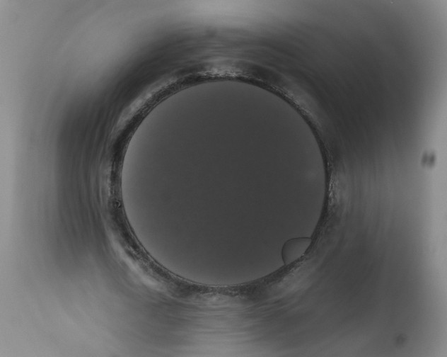 X0000112530722200909141246