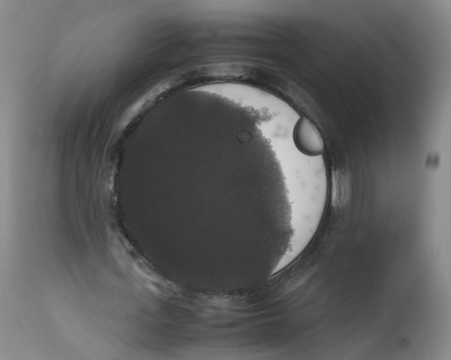 X0000112530723200909141246