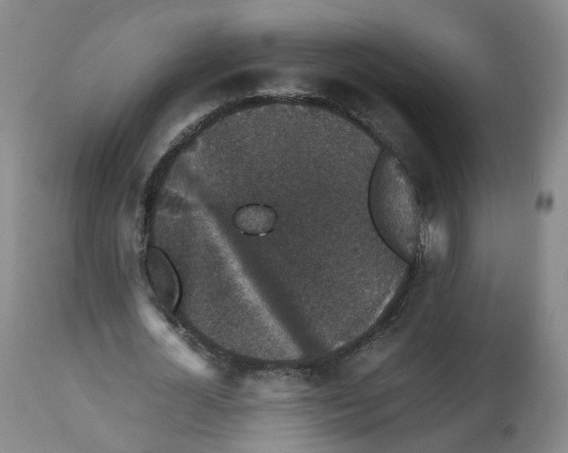 X0000112530724200909141246