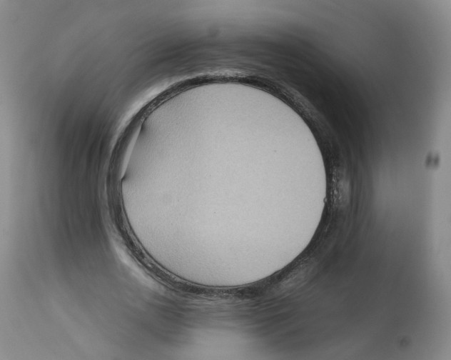 X0000112530726200909141246