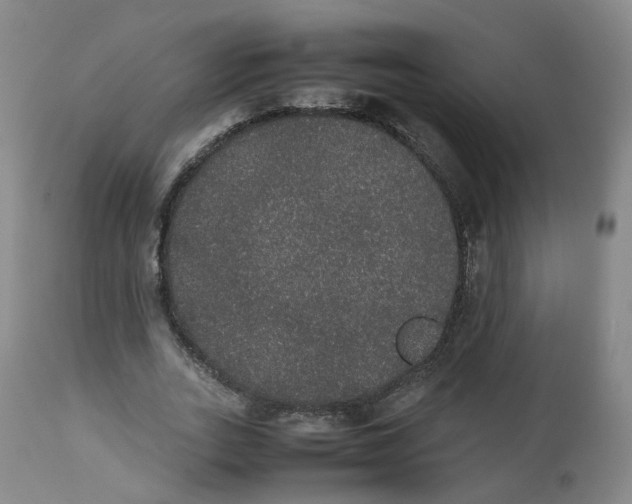 X0000112530727200909141246