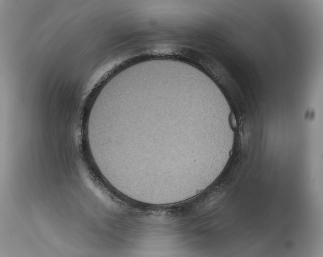 X0000112530728200909141246