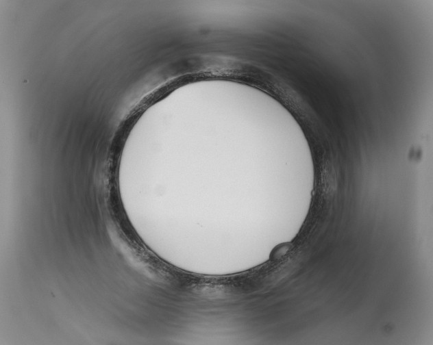 X0000112530730200909141246