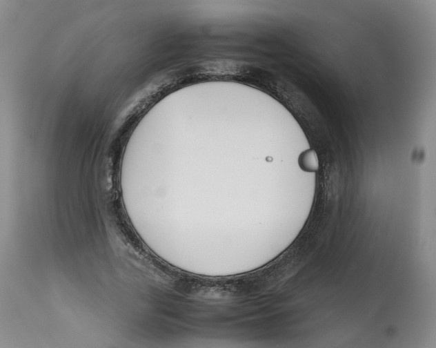 X0000112530731200909141246