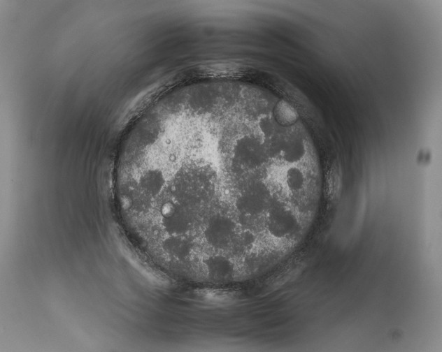 X0000112530733200909141246