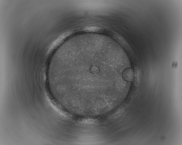 X0000112530734200909141246