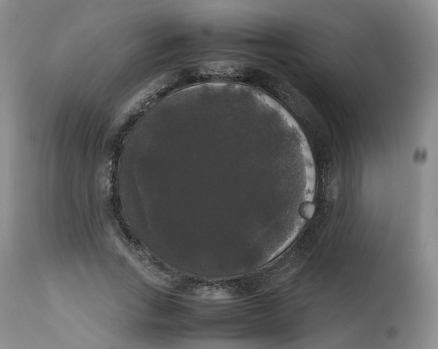 X0000112530735200909141246