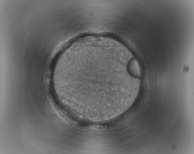 X0000112530736200909141246