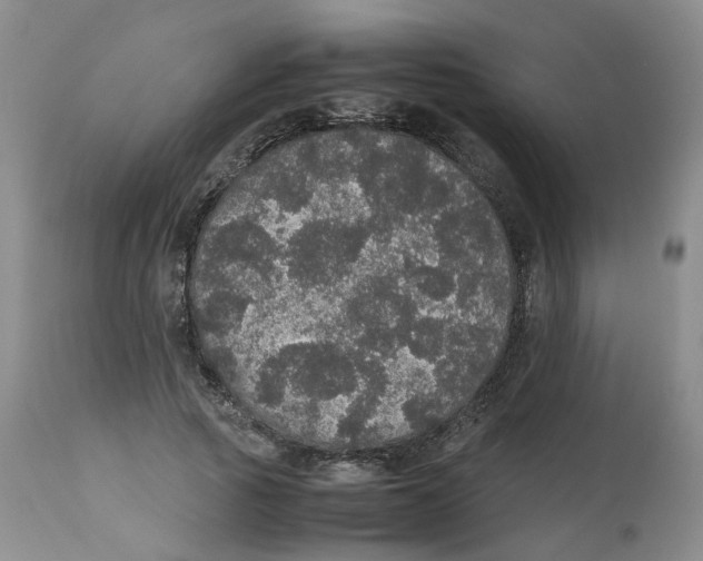 X0000112530737200909141247