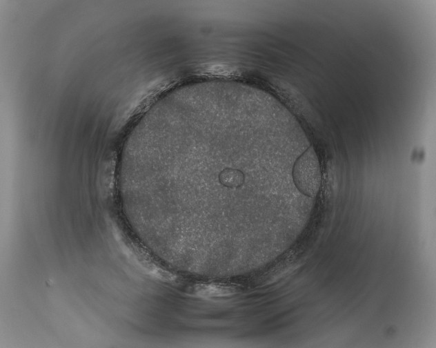 X0000112530739200909141247